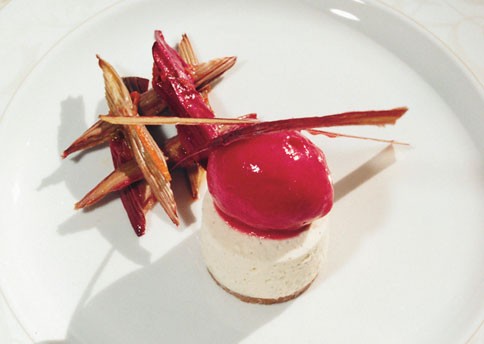 Vanilla bean cheesecake tartlets with roasted rhubarb