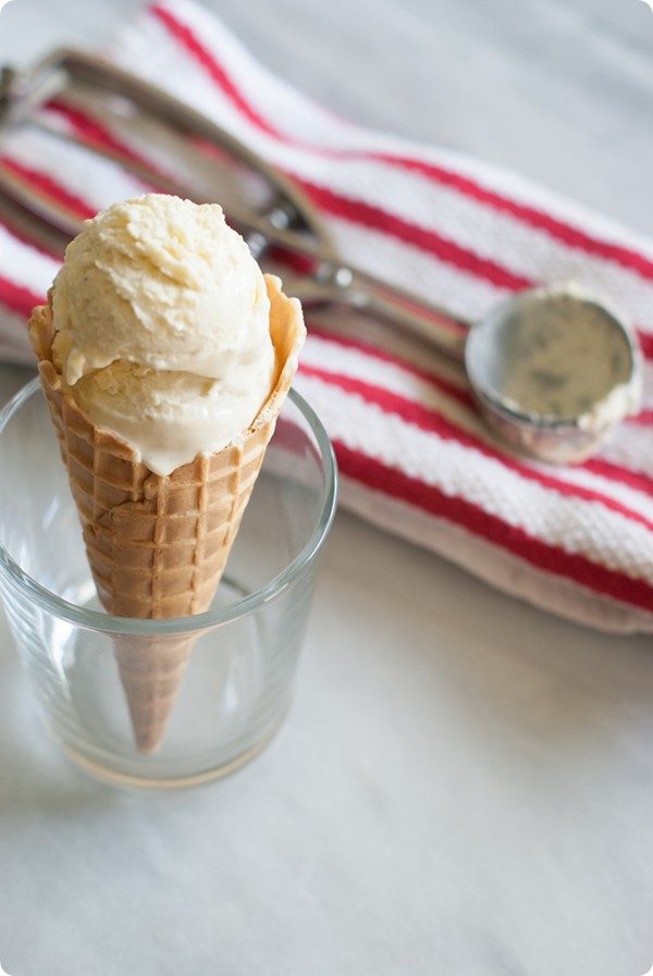 Vanilla bean frozen custard