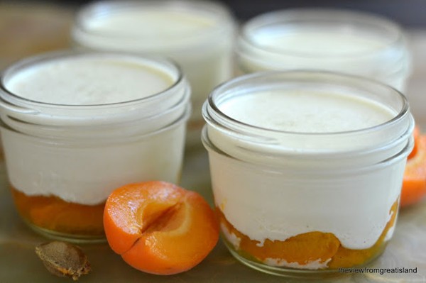 Vanilla bean panna cotta with brandied apricots