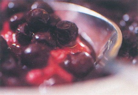 Vanilla cream pots with blackcurrant compote
