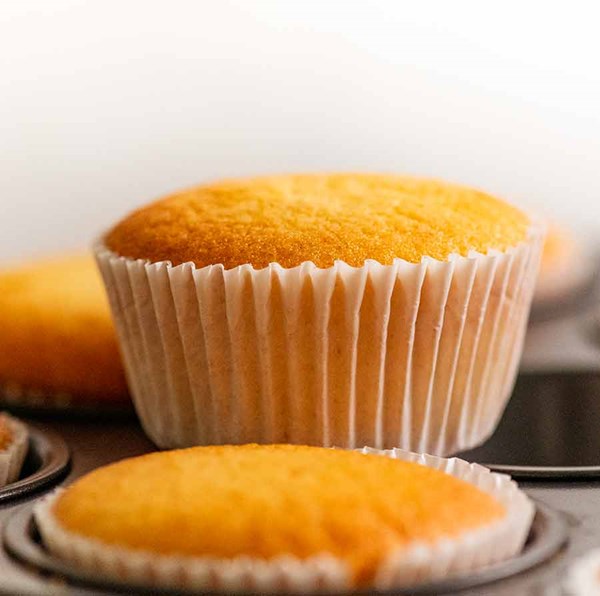 Vanilla cupcakes 