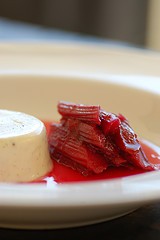 Vanilla panna cotta with baked rhubarb