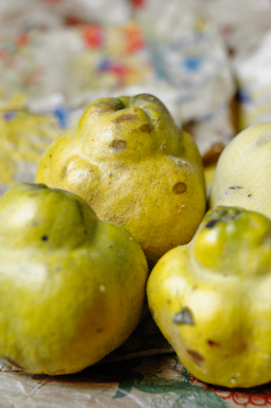 Vanilla poached quince