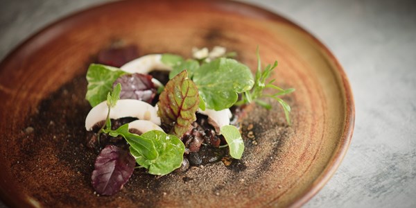 Venison tartare with walnut ketchup, pine oil and mushrooms