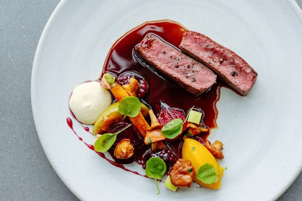 Venison with roasted root vegetables and a red wine sauce