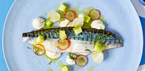 Verjus-pickled mackerel