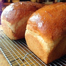 Vermont whole wheat oatmeal honey bread
