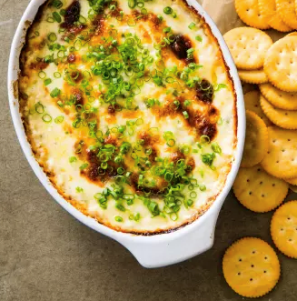 Vidalia onion dip