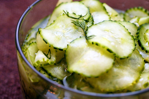 Viennese cucumber salad