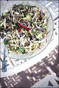 Vietnamese chicken salad