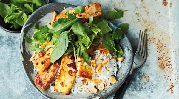 Vietnamese peanut rice and lemongrass tofu