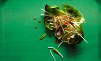 Vietnamese summer wraps