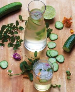 Vinegar + mint sharbat (Sharbat-e sekanjebin)