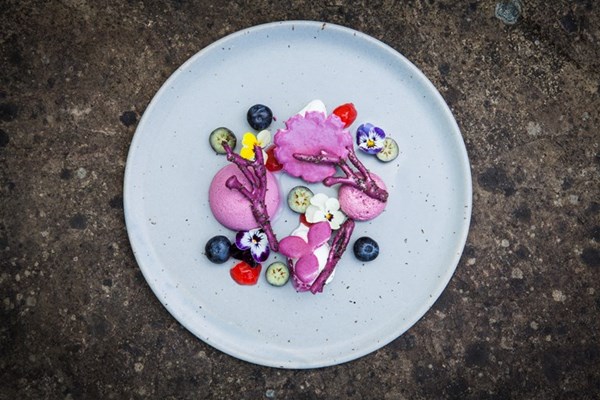 Violet parfait with blueberries, rose and lemon thyme sorbet