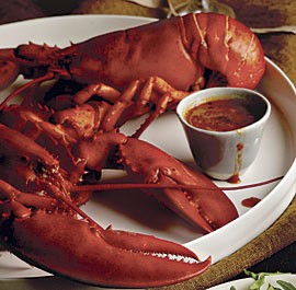 Vodka-steamed lobsters with tomato-thyme butter sauce