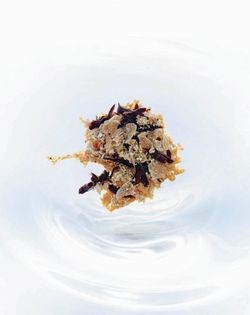 Walnut floss, bitter chocolate black pudding, fungi