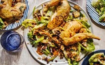 Warm chicken and migas salad