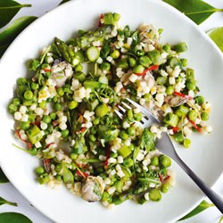 Warm fregola salad with asparagus, peas and clams
