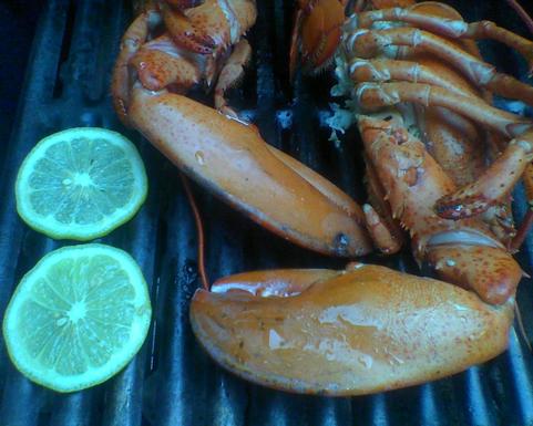 Warm grilled lobster salad with lemon thyme butter