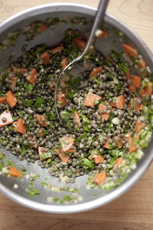 Warm lentil salad