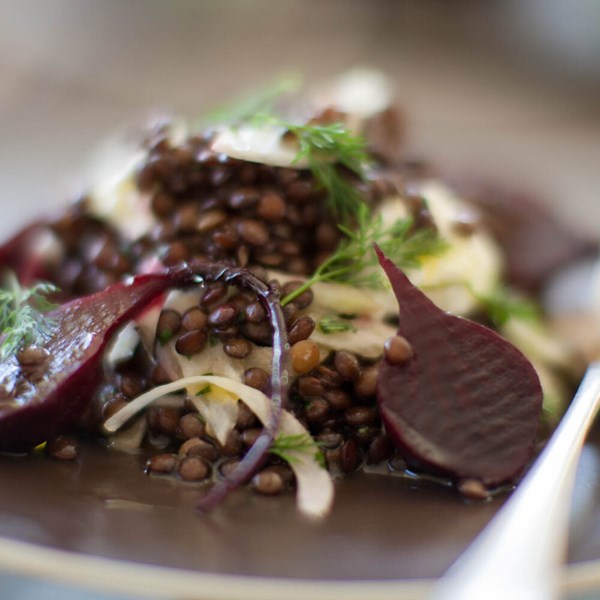 Warm lentil salad with beetroot, fennel and goat's cheese