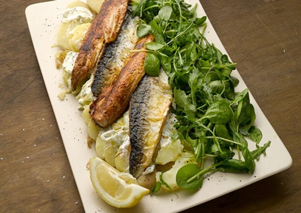 Warm mackerel with potato and wild garlic