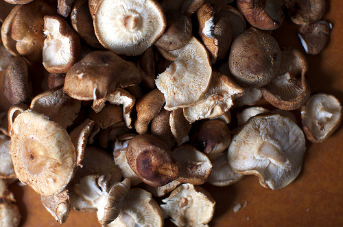 Warm mushroom salad with hazelnuts