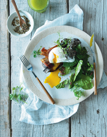 Warm spinach salad with poached egg and mushrooms