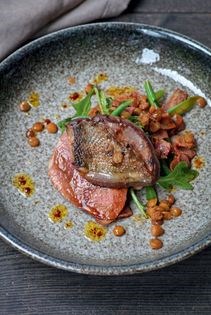 Warm wood pigeon with black pudding salad