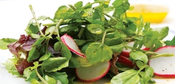 Watercress & radish salad