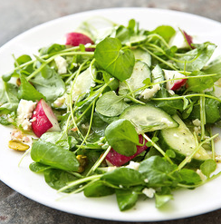 Watercress and cucumber salad with lemon vinaigrette
