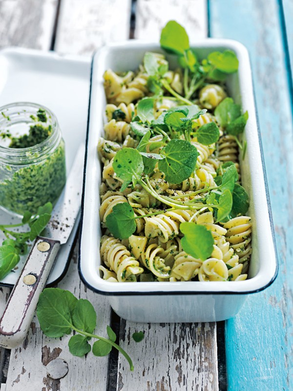 Watercress and walnut pesto pasta salad