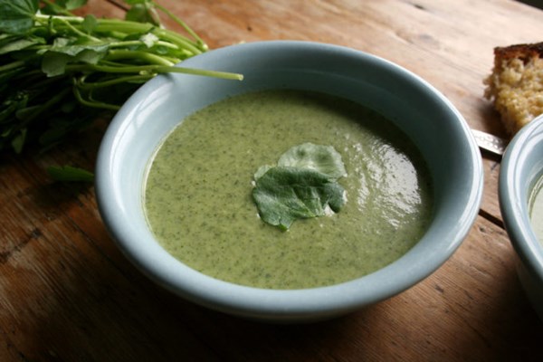 Watercress, pea and wasabi soup