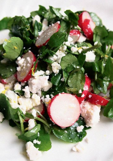 Watercress, radish, and feta salad