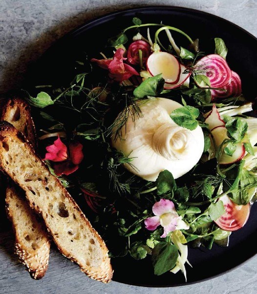 Watercress salad with burrata 