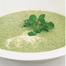 Watercress soup