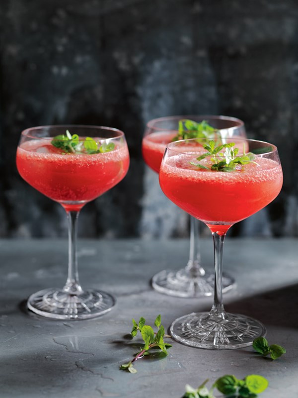 Watermelon and mint cooler
