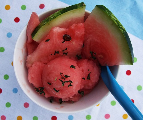 Watermelon and vodka sorbet