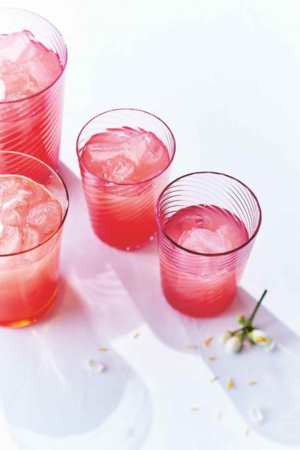 Watermelon lemonade