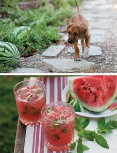 Watermelon mojito