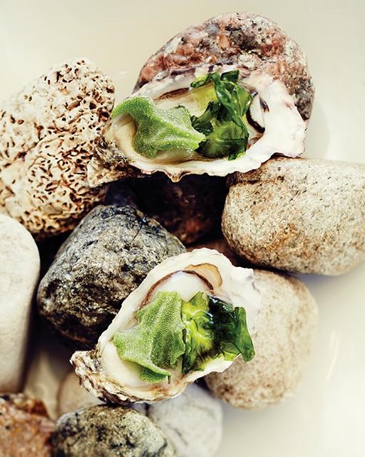West Coast oyster in its element