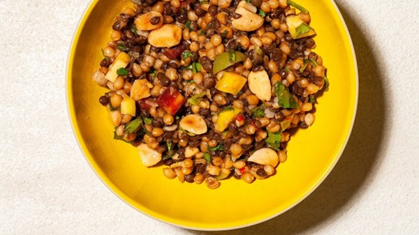 Wheat berry and lentil salad with carrots, parsley and harissa