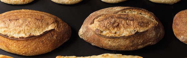 Wheat sourdough bread
