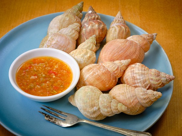 Whelks with spicy seafood dipping sauce (Hoi khom nahm jim talay)