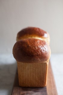 White bread master recipe