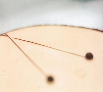 White chocolate infused with pear skins