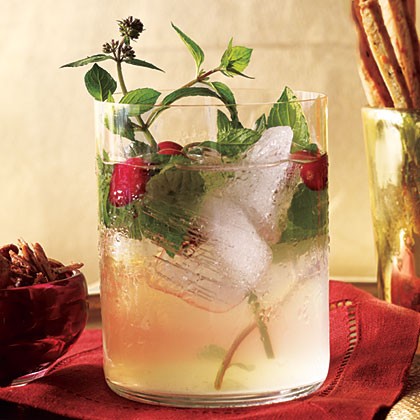 White cranberry spritzer
