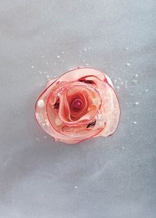 White nectarine rose with soft nougat, caramelised puff pastry, vanilla cream and macadamias