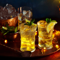 White Port and tonic
