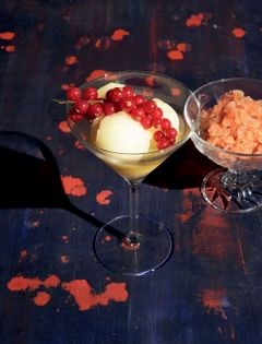 White wine sorbet ice